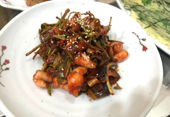 청해복어 이미지