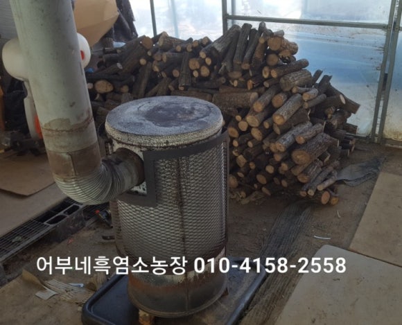 뽑기하우스 이미지