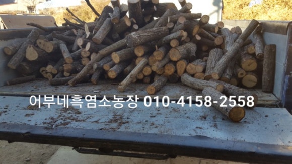 뽑기하우스 이미지