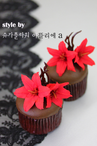 아베크플라워 이미지