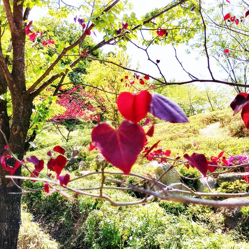 강산에주 이미지