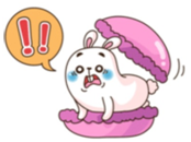 너구리타바코 이미지