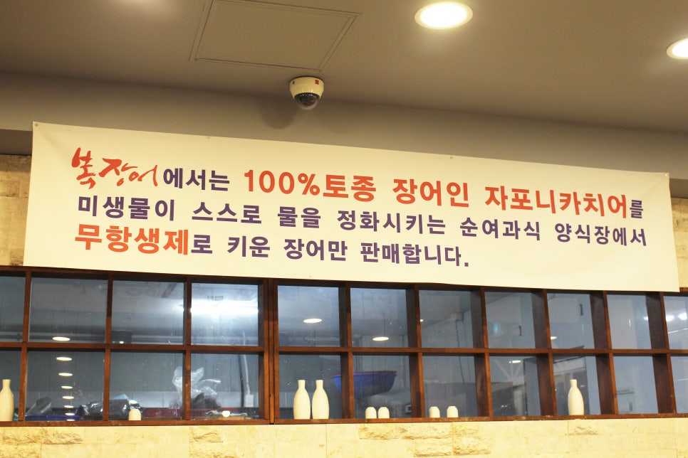 풍천복장어 이미지