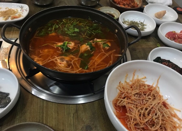 청해복어 이미지