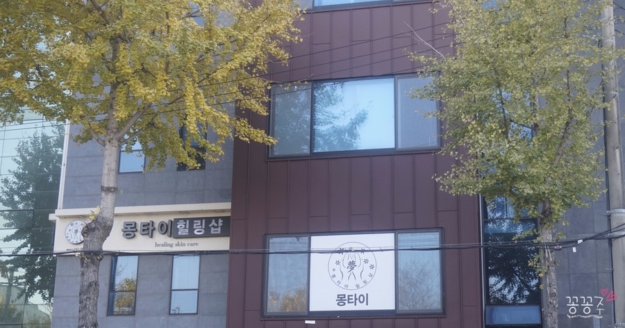 몽힐링케어 이미지