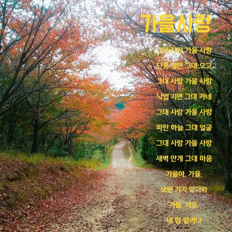 마임(동부지사) 이미지