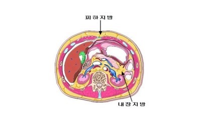 에스플러스 이미지