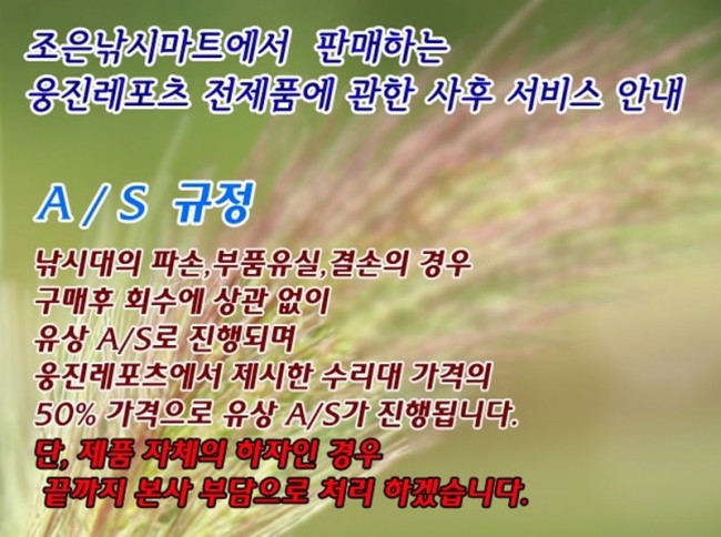 웅진레포츠 이미지