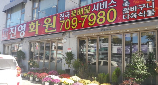 진영화원 이미지