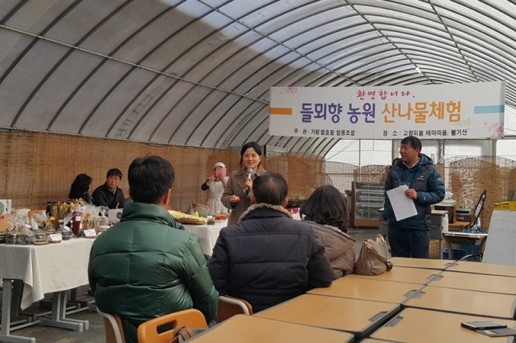 들뫼향 이미지