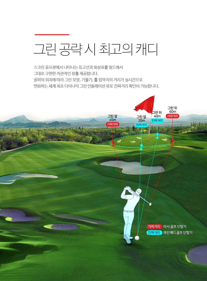 파인컵 이미지