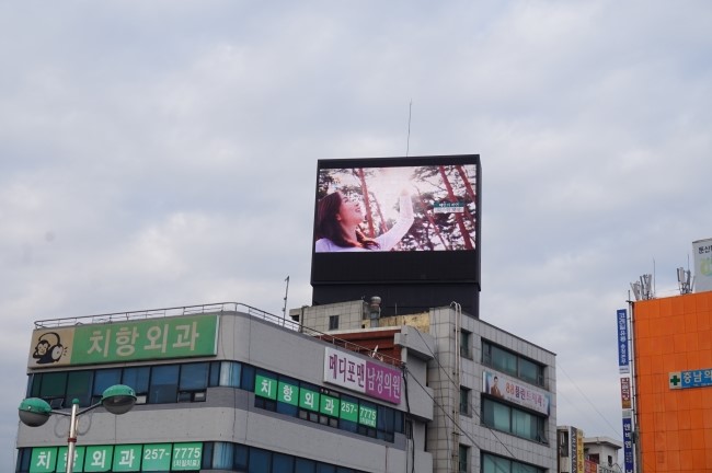 꽃다지광고 이미지
