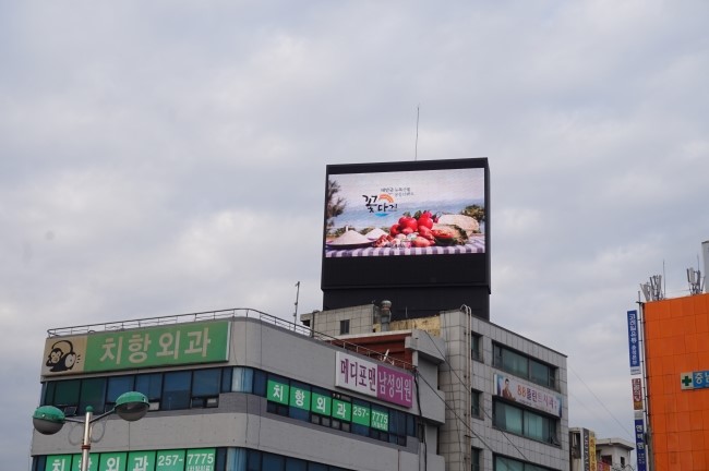 꽃다지광고 이미지