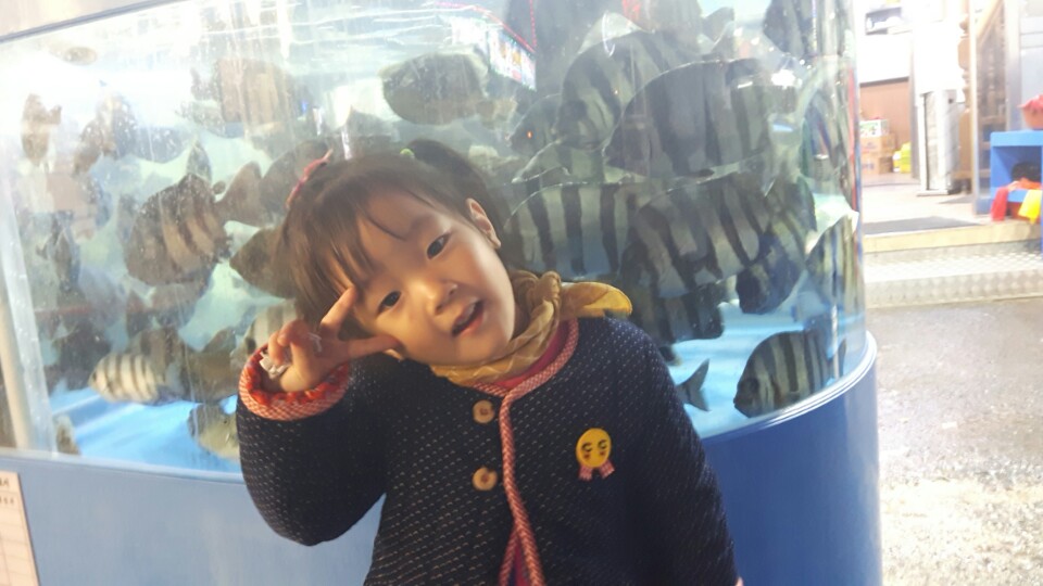 대성활어회센타 이미지