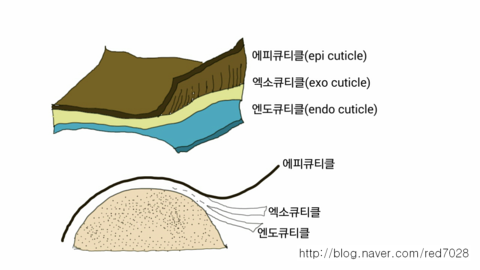 123미용실 이미지