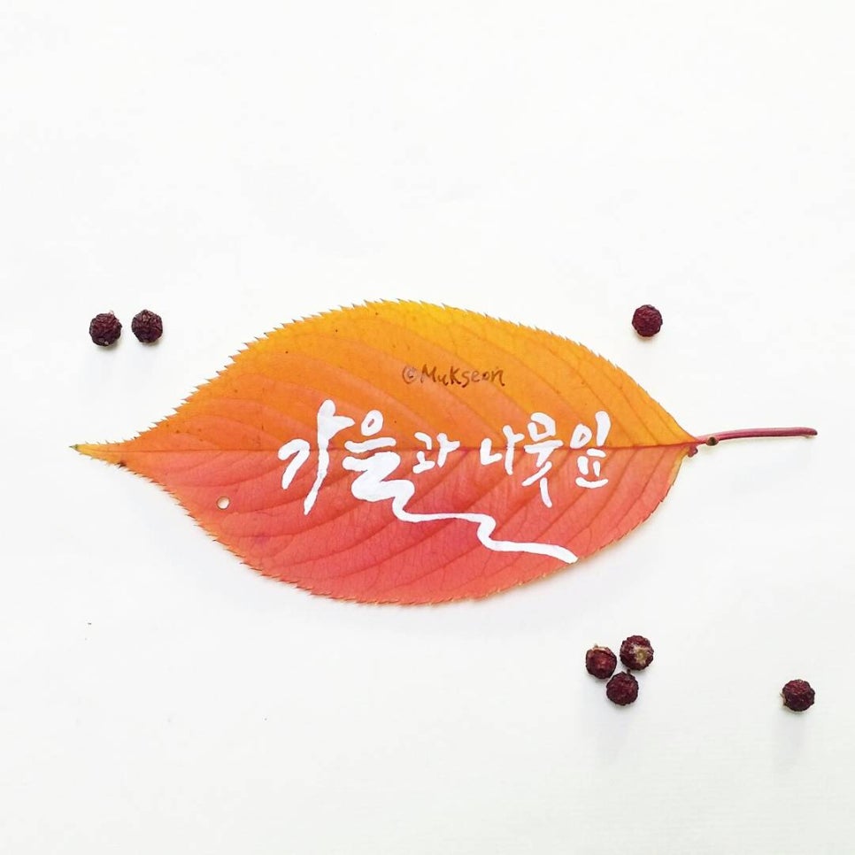 묵선캘리그라피 이미지