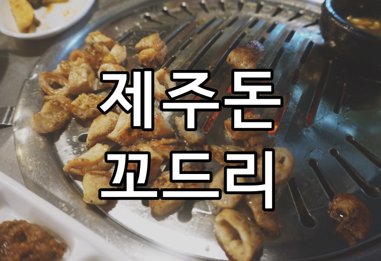 제주돈꼬드리 이미지