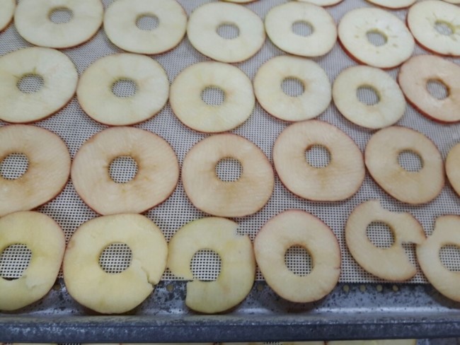과일까까 이미지