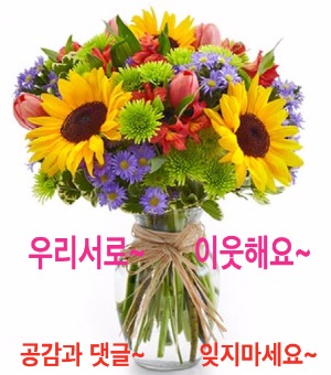 내고향도우미 이미지