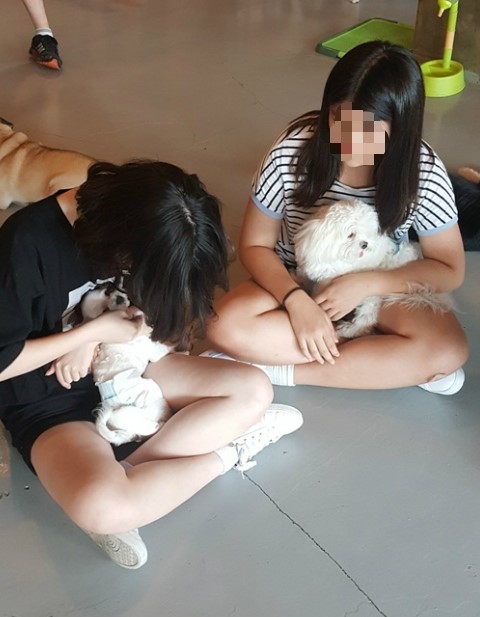 노블도그 이미지