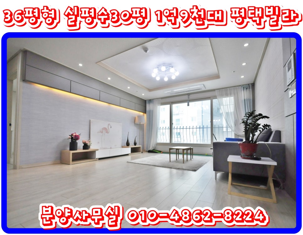 아일랜드배미 이미지