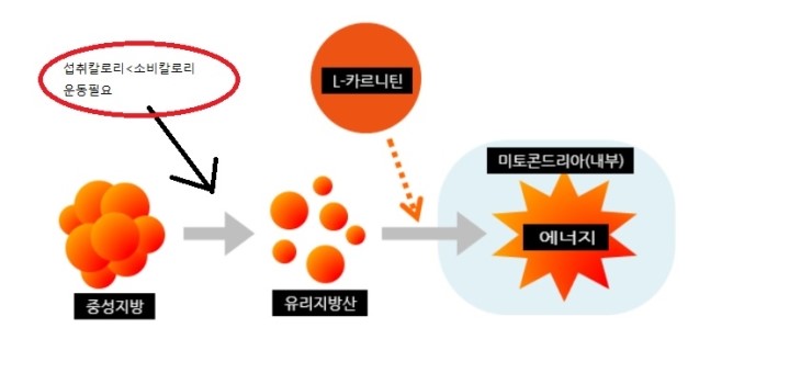 프로맨스 이미지