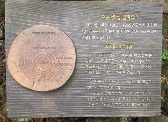 송당빌레 이미지