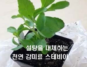 (주)천연식품 이미지