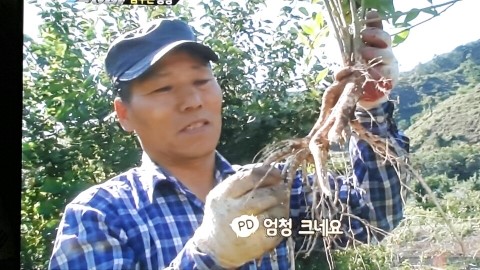 씨앗슈퍼 이미지