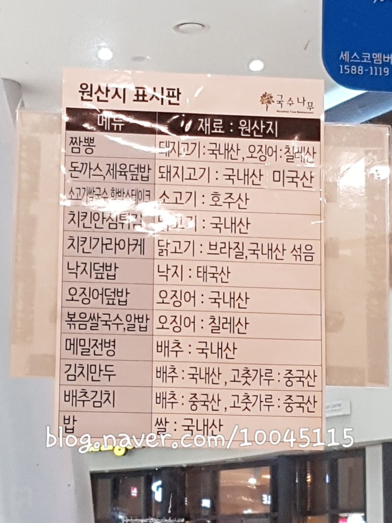 펜타포트국수나무 이미지