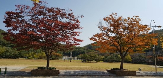 필모텔 이미지