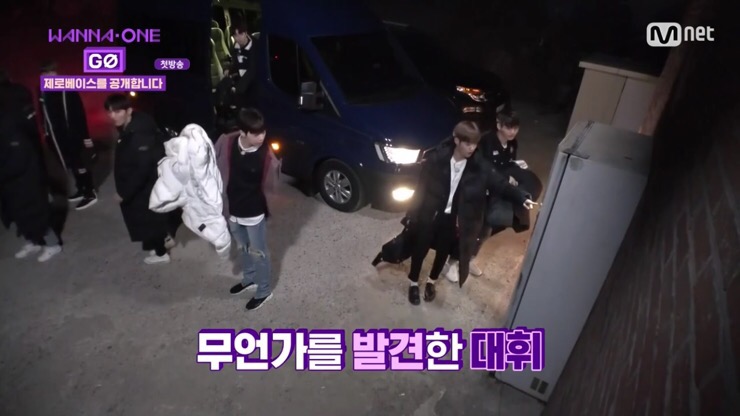 해오름풀꽃 이미지