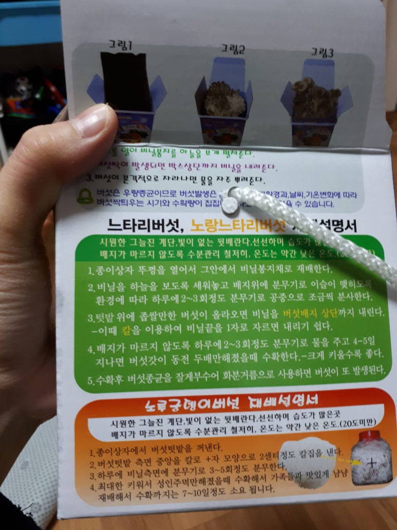 열두개울버섯마을 이미지
