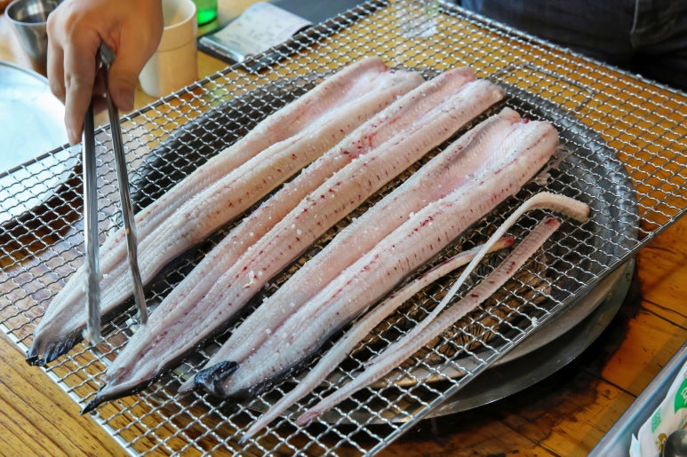 영광민물장어 이미지