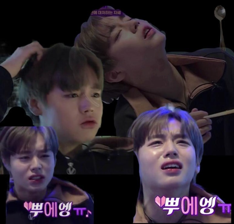 돈이랑꼬꼬랑 이미지
