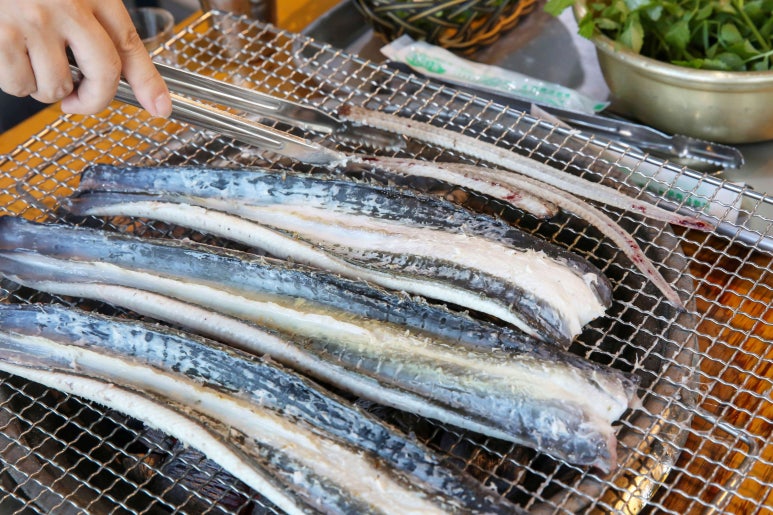 영광민물장어 이미지