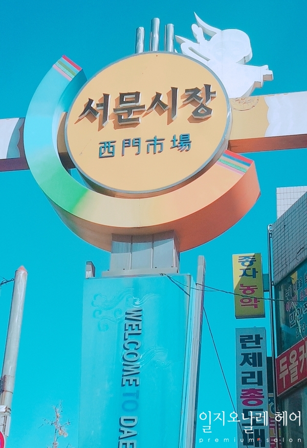 서문카 이미지