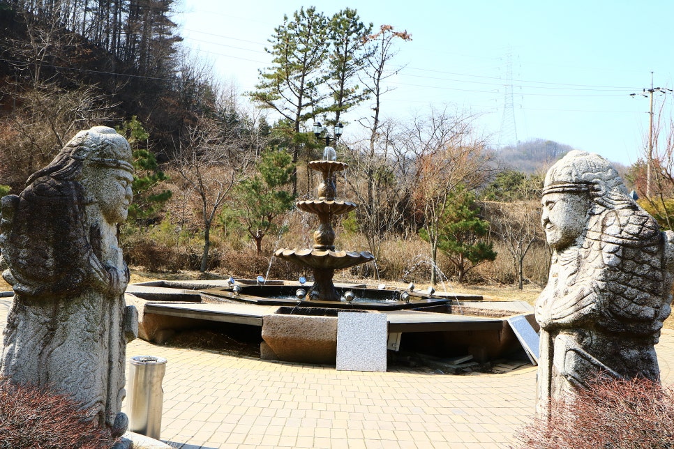 소나무향기 이미지