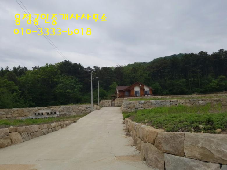 용정마트 이미지
