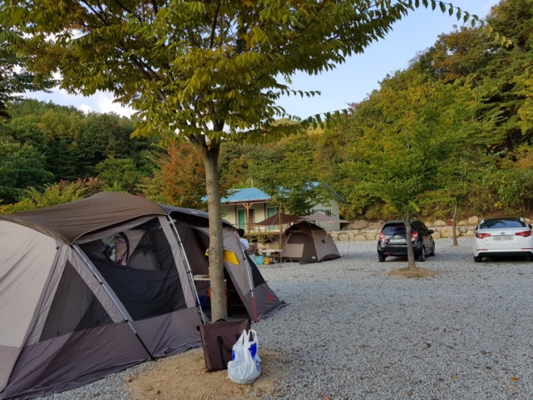 속리산 사계절 캠핑장 이미지