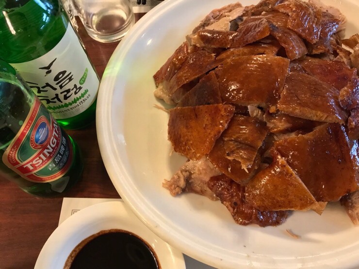 꼬투리걸 이미지
