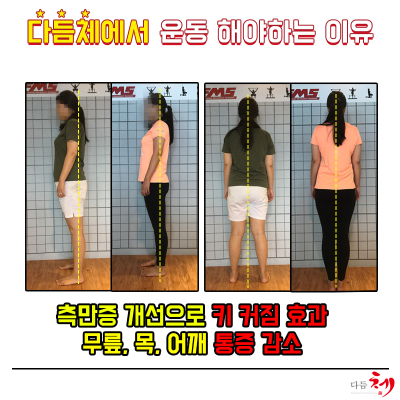 다듬체 이미지