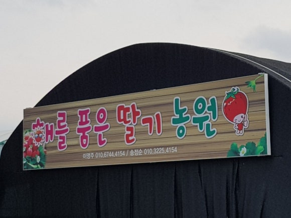 해를 품은 딸기농원 이미지