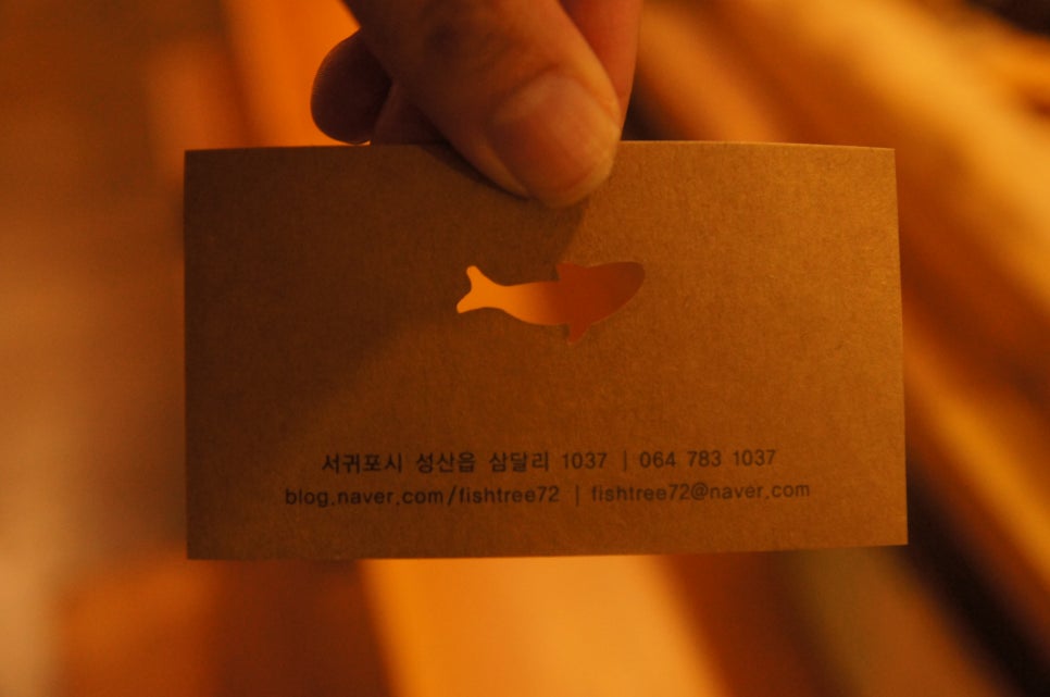 낭만 물고기 이미지