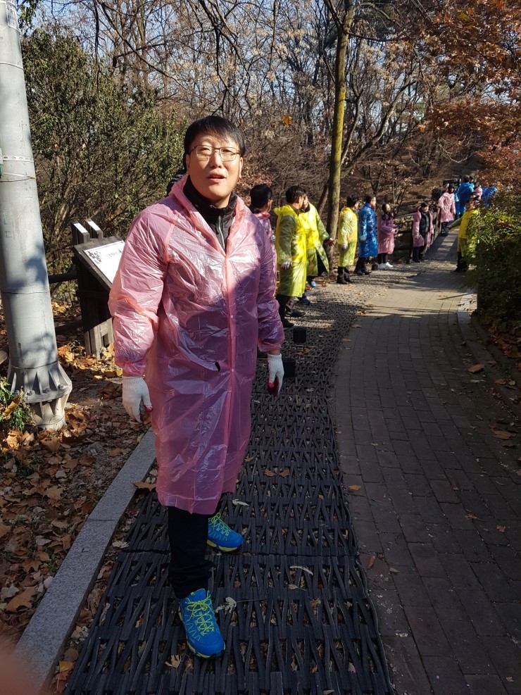 강북권투 이미지