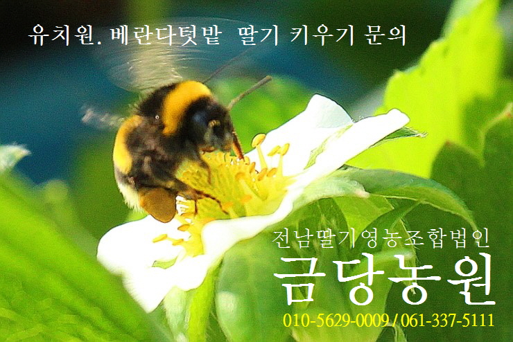 남평체험장 이미지
