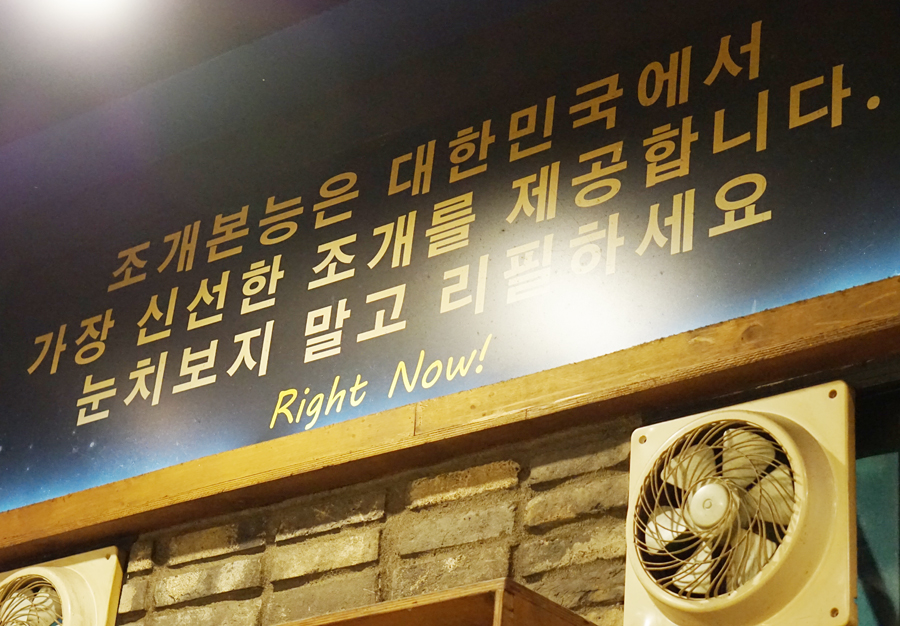 조개본능 이미지
