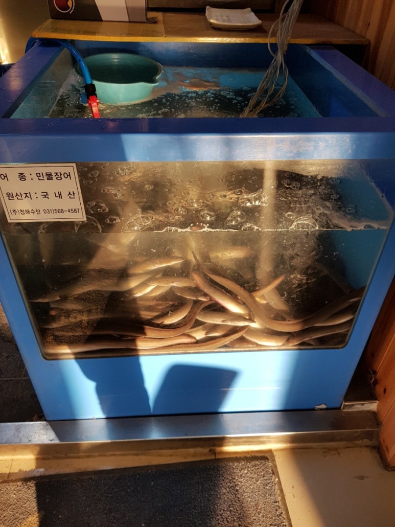 장어의꿈 이미지