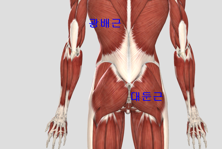 화목한의원 이미지