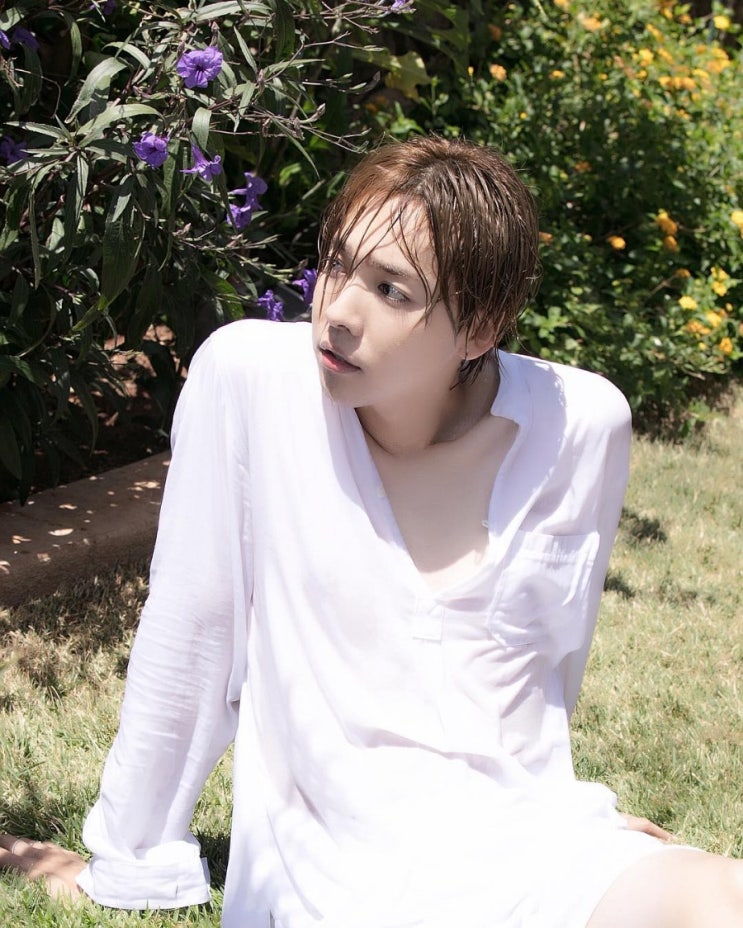 김지 이미지